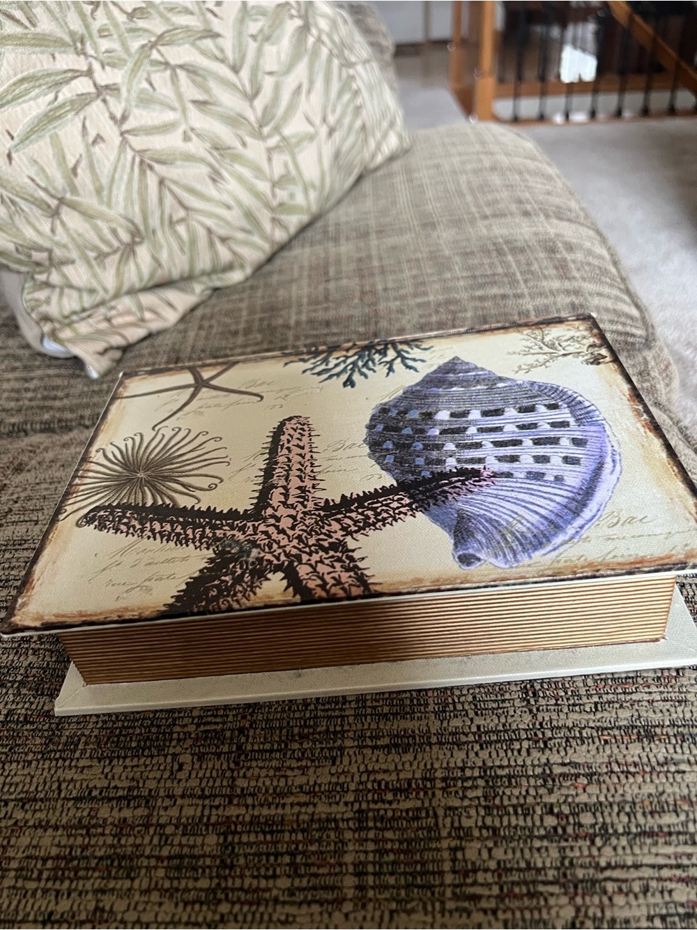 Shell Collection with Shell Box - Picture 5 of 8